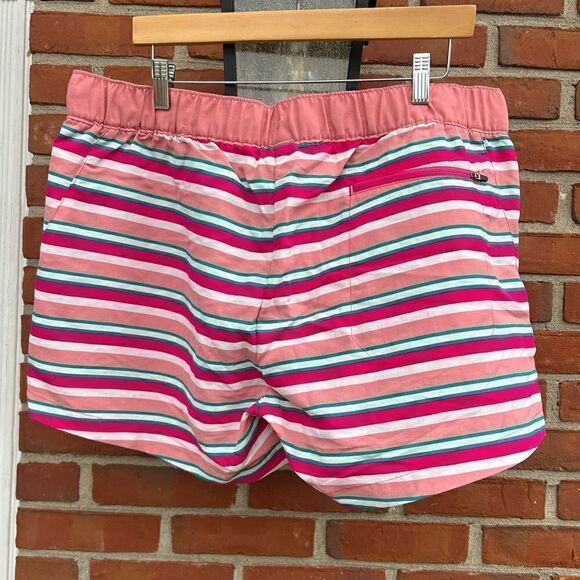 The North Face Pink Striped Class V Shorts - Picture 4 of 6